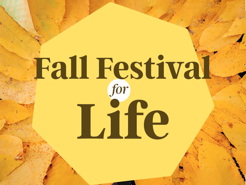 The Center of New York Fall Festival For Life - Catholic Gatherings